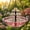 Pink, variant on Solar Cascade Hanging Bird Bath Fountain,2026 New 3 Layers Solar Powered Bird Bath Fountain,Outdoor Humming Birds Cascade Baths Fountains,Garden Patio Yard Backyard Lawn Decor