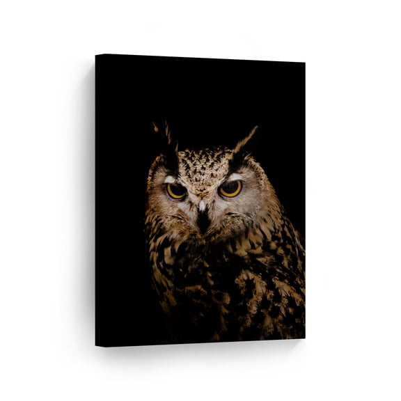 Smile Art Design Portrait of Owl in Black Wild Animal Canvas Wall Art Print Nature African Safari Exotic Wildlife Office Living Room Bedroom Kids Baby Nursery Room Decor - 40x30