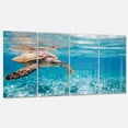 thumbnail image 2 of Designart 'Large Hawksbill Sea Turtle' Metal Wall Art, 2 of 3