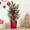 style 1, variant on HioHa 18-Inch Pre-Lit Mini Tabletop Tree with Warm White LED Lights, Flocked Branches with Red Berries & Pinecones, Artificial Snowy Tree for Shelf Desk Mantel Indoor Home Party Decor