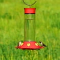 thumbnail image 5 of Perky-Pet 209B Our Best Glass Hummingbird Feeder, Red, 30 OZ, 5 of 6