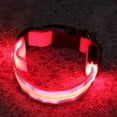 thumbnail image 4 of Methold que brilla intensamente LED, recargable, luminoso, antipérdida, luz nocturna, collar intermitente, arnés para Type3 NO3, 4 of 6