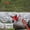 Red, variant on Portable Pen Fishing Rod and Reel Combo Compact Travel Pole with Rotating Spool for Outdoor Anglers