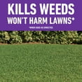 thumbnail image 3 of Roundup for Lawns₄ Ready-to-Use (Southern), Weed Killer 1 gal., 3 of 13