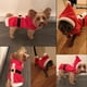 thumbnail image 2 of Disfraz de Navidad para Gato, Disfraz de Gato, Navidad, Lindo Papá Noel, Ropa Ajustable, Abrigo con Capucha para Mascotas para Gatos pequeños, medianos y Grandes (XS), 2 of 5