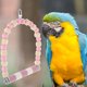 thumbnail image 5 of Percha para pájaros, garra de pájaro, palo de molienda, soporte para percha para loros, soporte para percha para jaula de pájaros, 5 of 5