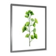 thumbnail image 2 of Designart 'Green Field Plant Foliage Branch' Farmhouse Framed Art Print, 2 of 4