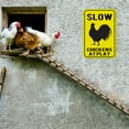 thumbnail image 7 of Crusward Funny Chicken Coop Sign Gifts Cluck Around and Find Out Tin Signs for Home Farm Kitchen Outdoor Decor 12 * 8 Inch 3 Styles, 7 of 7