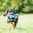 thumbnail image 3 of KONG® Cozie™ Plush Dog Toy with Squeaker, Baily the Blue Dog, Medium, 3 of 5