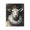 Regal Crowned Sheep Portrait, variant on Stupell Industries Traditional Royal Swine Portrait Canvas Art, 16 x 20, by Svetlana Aleynikova