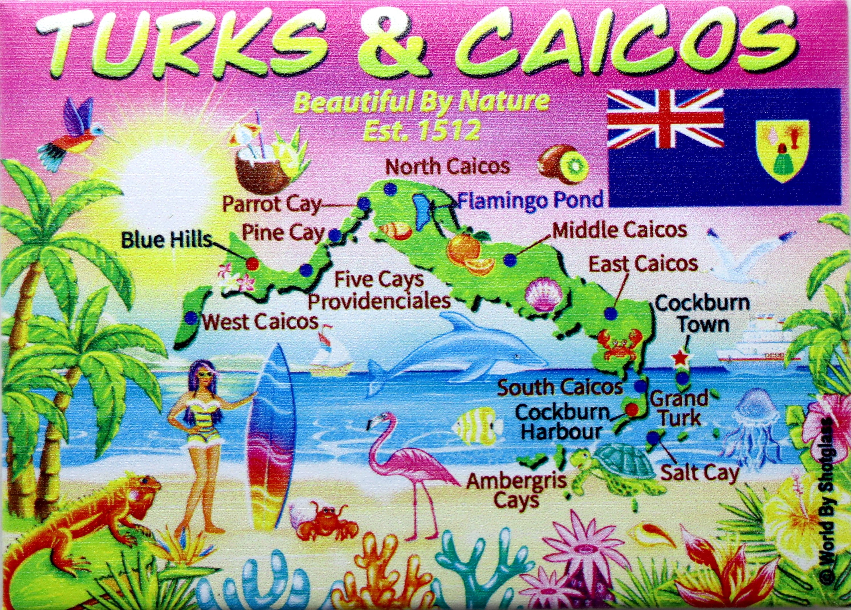 Flag Of Turks & Caicos Islands FRIDGE MAGNET