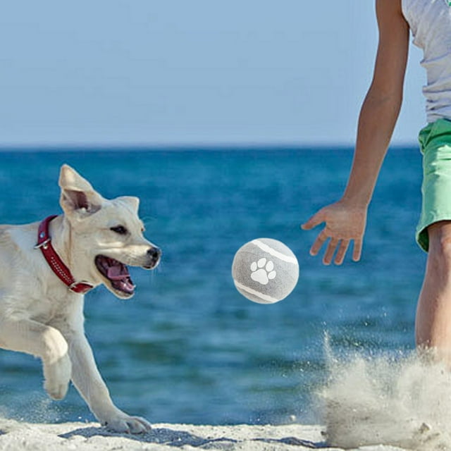Taotanxi Solid Elastic Ball Is Suitable For Ball Grip Counteractive And Boring Dog Teething Pet Toys