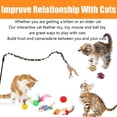 thumbnail image 4 of Juguete plegable con plumas tipo túnel Speedy Panther de Cat Toys, 21 unidades, 4 of 9