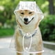 thumbnail image 4 of Impermeable para perros medianos y grandes | Chaqueta impermeable de PVC transparente para cuatro patas, con cintura ajustable y tiras reflectantes | Transpirable, fácil de limpiar y segura para, 4 of 5