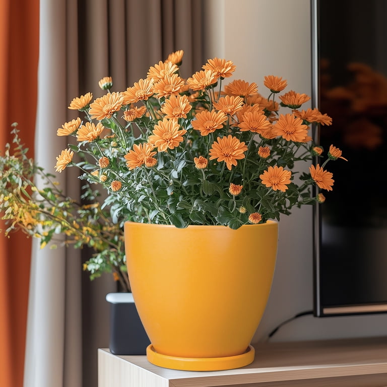 Ordivic Deep Matte Yellow Ceramic Pot, 8-Inch with Saucer photo 2