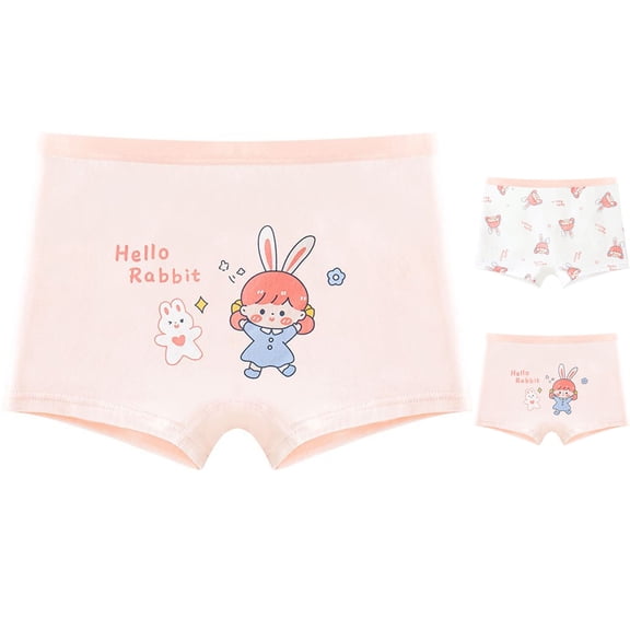 SROBPTY Kids Girls Briefs Underwear Print Breathable Panties for 4-15 Years