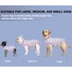 thumbnail image 5 of Traje de recuperación para perros Sebidtco para perras después de la esterilización, 5 of 5
