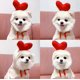 thumbnail image 1 of Pet Clothes Dog Hoodies Warm Sweatshirt Coat Puppy Autumn Winter Apparel Jumpsuit with Love Hood, Love, M, 1 of 4