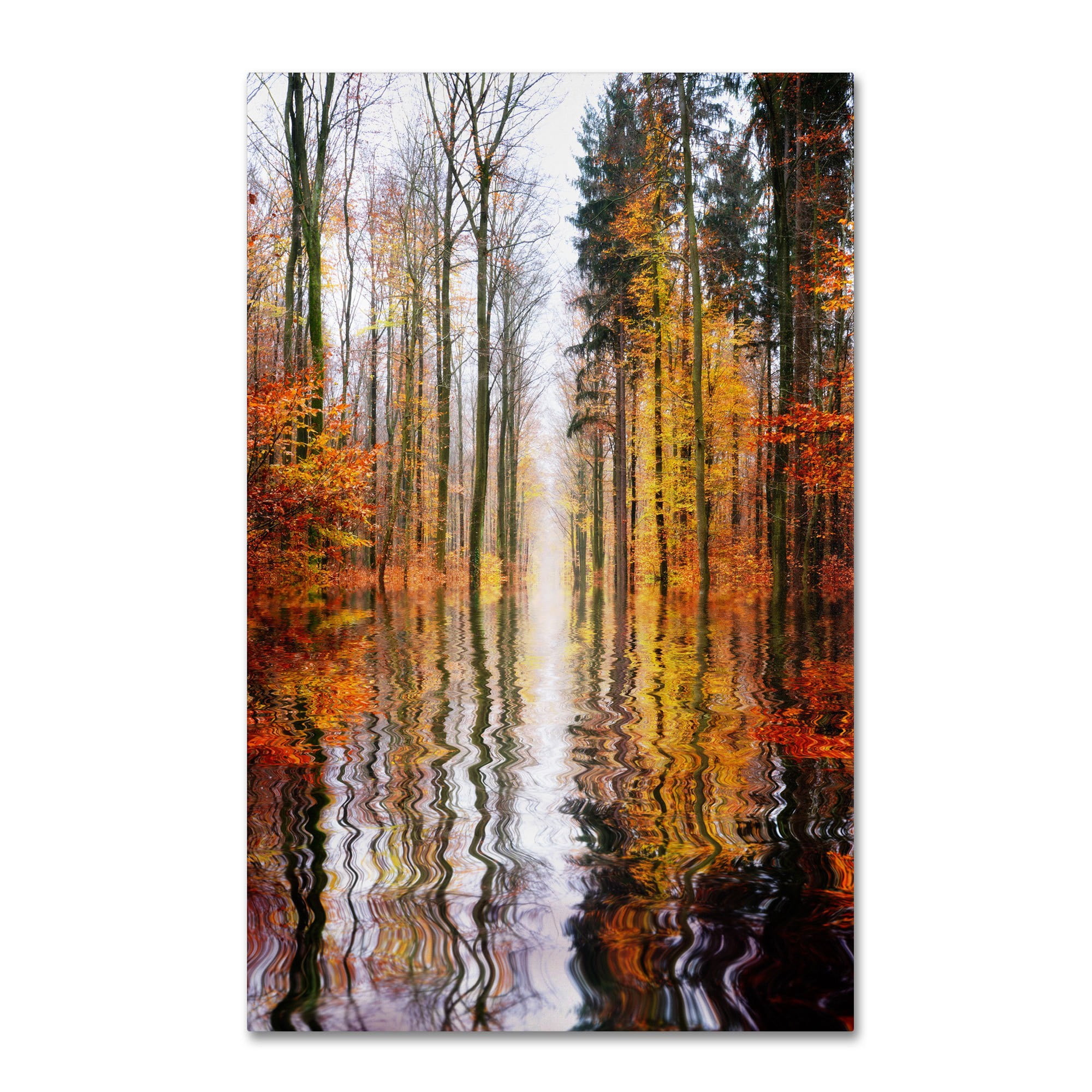 Trademark Fine Art "Higher Ground" Canvas Art by Philippe Sainte-Laudy