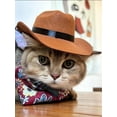 thumbnail image 1 of 1pc Pet Cowboy Hat For Cat And Dog With Adjustable Strap, 1 of 5