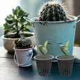 thumbnail image 2 of 10Pcs Plastic Hydroponics Net Pot Slotted Mesh Net Cups Plant Nursery Pots, 2 of 2
