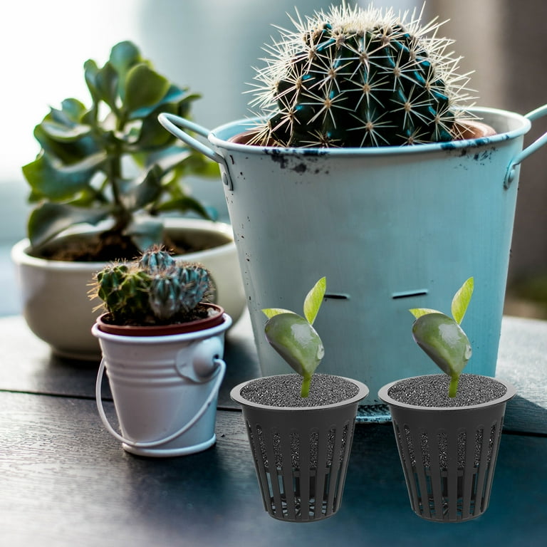 20 Pcs Plastic Hydroponics Net Pot Slotted Mesh Net Cups Plant Nursery Pots  - Walmart.com