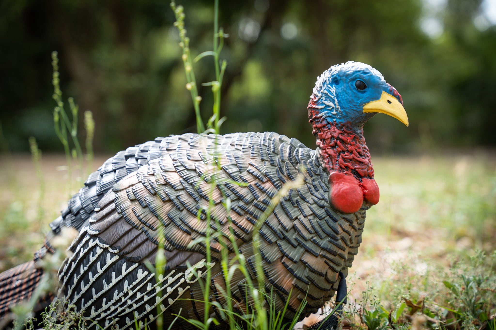Falls River Rowdy Jake Strut Turkey Decoy