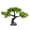 Thuja pine green, variant on Life Like Welcoming Pine Aquariums Decors Fishtanks Landscaping Artificial Pine Bonsais for Home Use Decoration