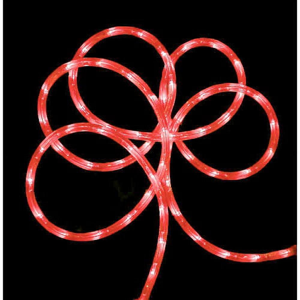 Sienna 102 ft. Indoor/Outdoor Christmas Rope Lights