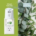 thumbnail image 4 of Scent Fill Eucalyptus Spearmint Plug in Air Freshener Starter Kit, Scented Oil Refills, 2 Refills + Diffuser, 4 of 6