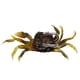 thumbnail image 5 of 10 Piezas de Cebos de Cangrejo Artificiales, SeñUelos de Cangrejo de SimulacióN 3D con Anzuelos Afilados, Trampas de Cebo de Cangrejo para Pesca en el Mar, Accesorios de Pesca, 5 of 7