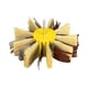 thumbnail image 4 of Rueda Pulidora abrasiva Macarena Cepillo para pulir sisal, 4 of 8