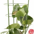 thumbnail image 4 of Plant Support Fixed Climbing Flower Stand, Plastic-coated Iron Wire Circular Pillar Flower Support Tool, 4 of 6