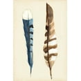 thumbnail image 2 of Ludwig, Alicia 13x18 White Modern Wood Framed Museum Art Print Titled - Plumage III, 2 of 4