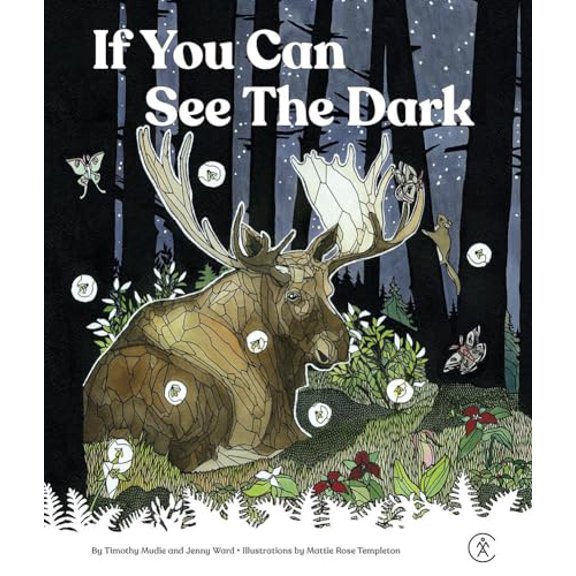 Pre-Owned If You Can See The Dark, 9781628421873, 1628421878, Hardcover,