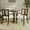 Beige Cushion + Dark Brown Finish, variant on GDF Studio Modern Arm Dining Chairs with Cane Rattan Backrest, Beige Cushion, Light Ash Wood Frame, Set of 2