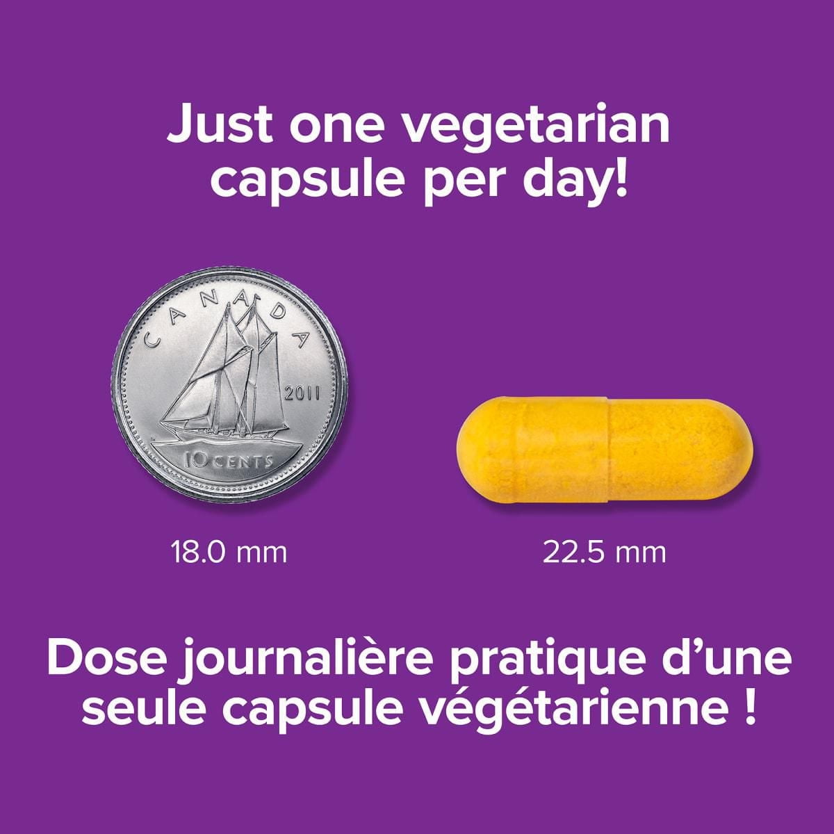 Curcumine de curcuma à absorption élevée  avec poivre noir  8 000 mg (plante brute) 60 capsules végétariennes