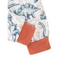 thumbnail image 6 of Baby Boy Dinosaur Outfits Sweatshirt Pullover Tops Long Pants with Hat Newborn Sweatsuit Set, 6 of 6