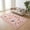 Pink, variant on HIWEAVER Black 2' x 6' Washable Floral Bordered Runner for Kitchen Animal Cat Indoor Throw Carpet Modern Non-Slip Foldable Doormats for Hallway Dorm Home Decor
