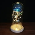 thumbnail image 1 of PENGXIANG LED Rose Flower In Glass Dome with Lights Infinity Crystal Rose Flower Enchanted Glass Rose Best Gift B, 1 of 6