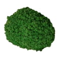 thumbnail image 3 of Musgo artificial decorativo de pared de 25 g, adornos realistas para decoración del hogar y dormitorio. Verde oscuro, 3 of 9