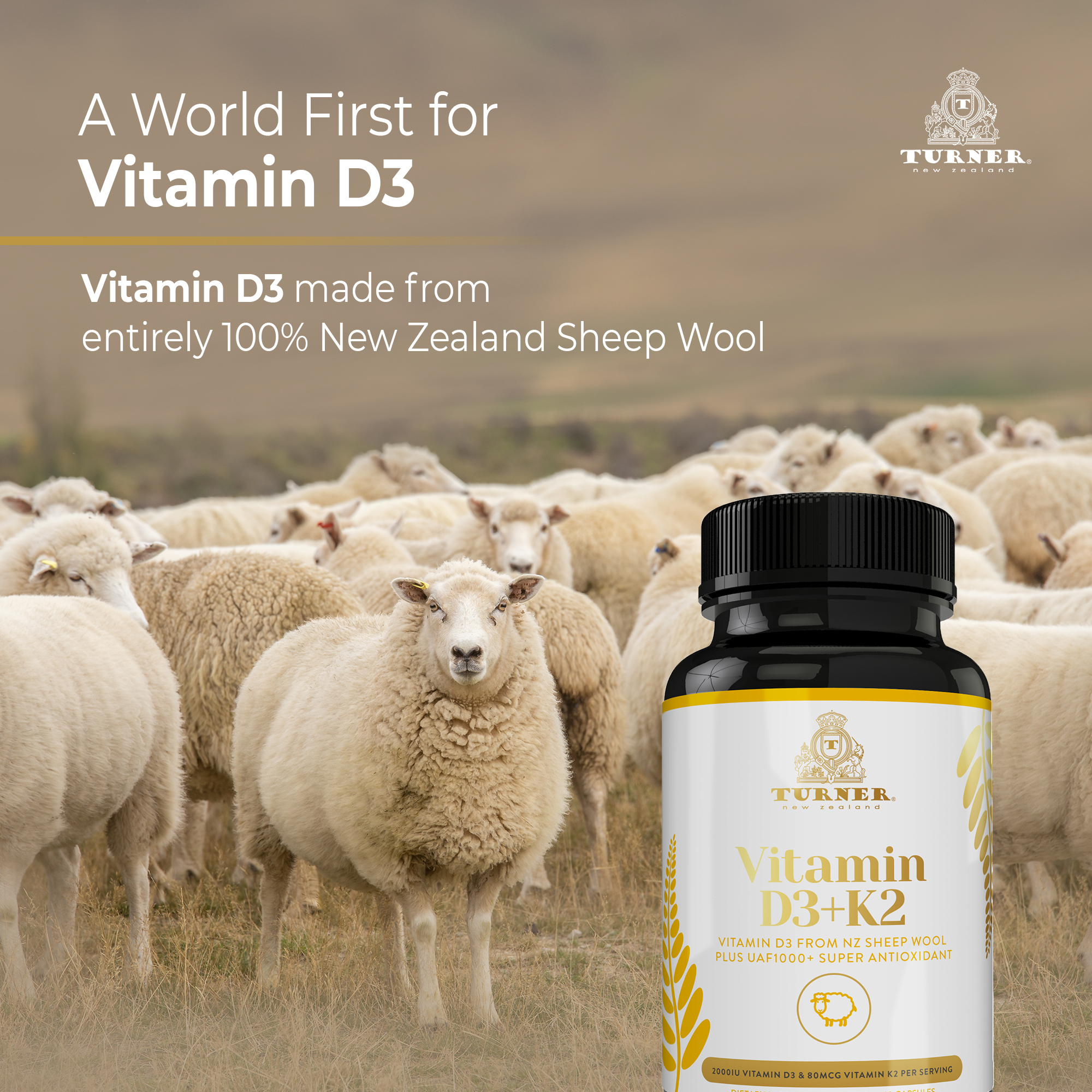 TURNER Grass-Fed Vitamin D3 and K2 Antioxidants Supplement, 60 Capsules