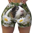 thumbnail image 2 of Balery Daisy Guinea Pig Pantalones cortos de entrenamiento estampados para mujer, sin costuras, ajustados, para gimnasio, yoga, correr, deportes, ejercicio activo, fitness.-X-Large, 2 of 8