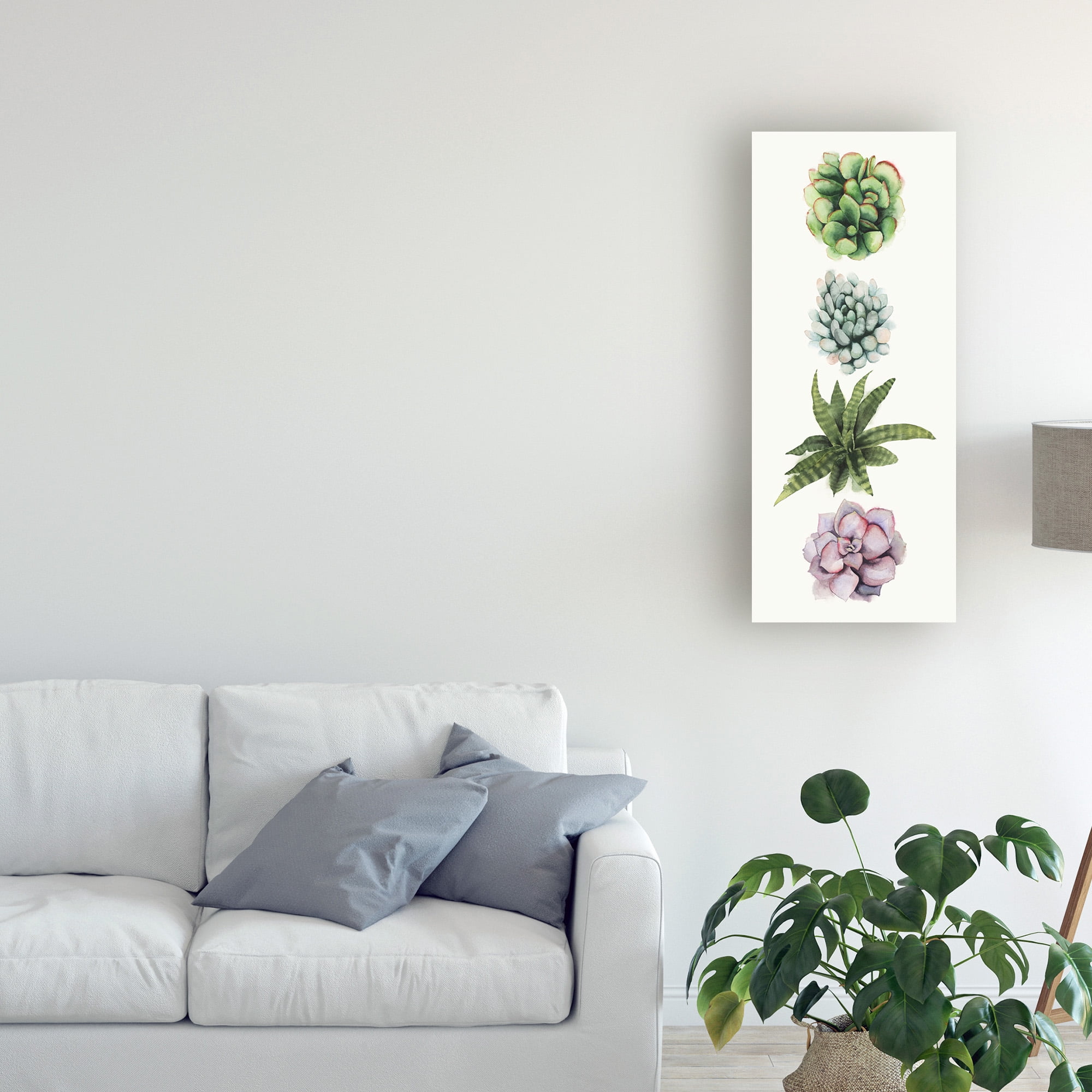 Trademark Fine Art 'Row of Succulents II' Canvas Art by Grace Popp