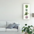 thumbnail image 3 of Trademark Fine Art 'Row of Succulents II' Canvas Art by Grace Popp, 3 of 3