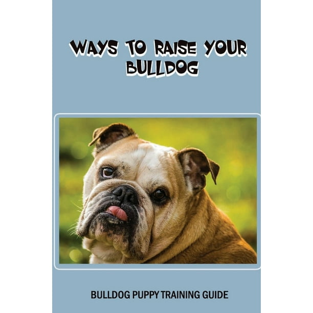 Are Bulldogs Stubborn About Potty Training
