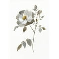 thumbnail image 3 of Nan 17x24 Black Modern Framed Museum Art Print Titled - Neutral Rose II, 3 of 5