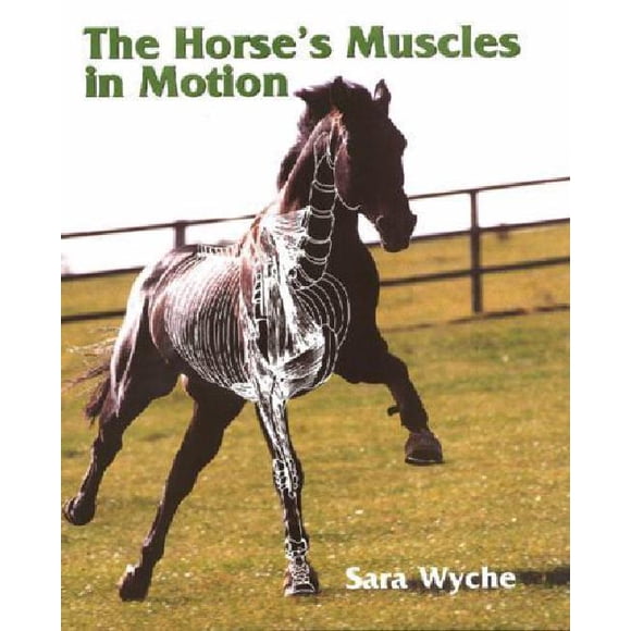 Horses Muscles in Motion