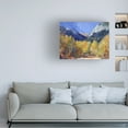 thumbnail image 2 of Richard Wallich 'Cotton' Canvas Art, 2 of 4