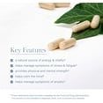 thumbnail image 5 of AKSHAR AYURVEDA Ashwagandha Capsules Gluten Free Supplement for Men and Women, 60 Capsules, 5 of 10